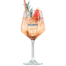 Dejavu Tonic